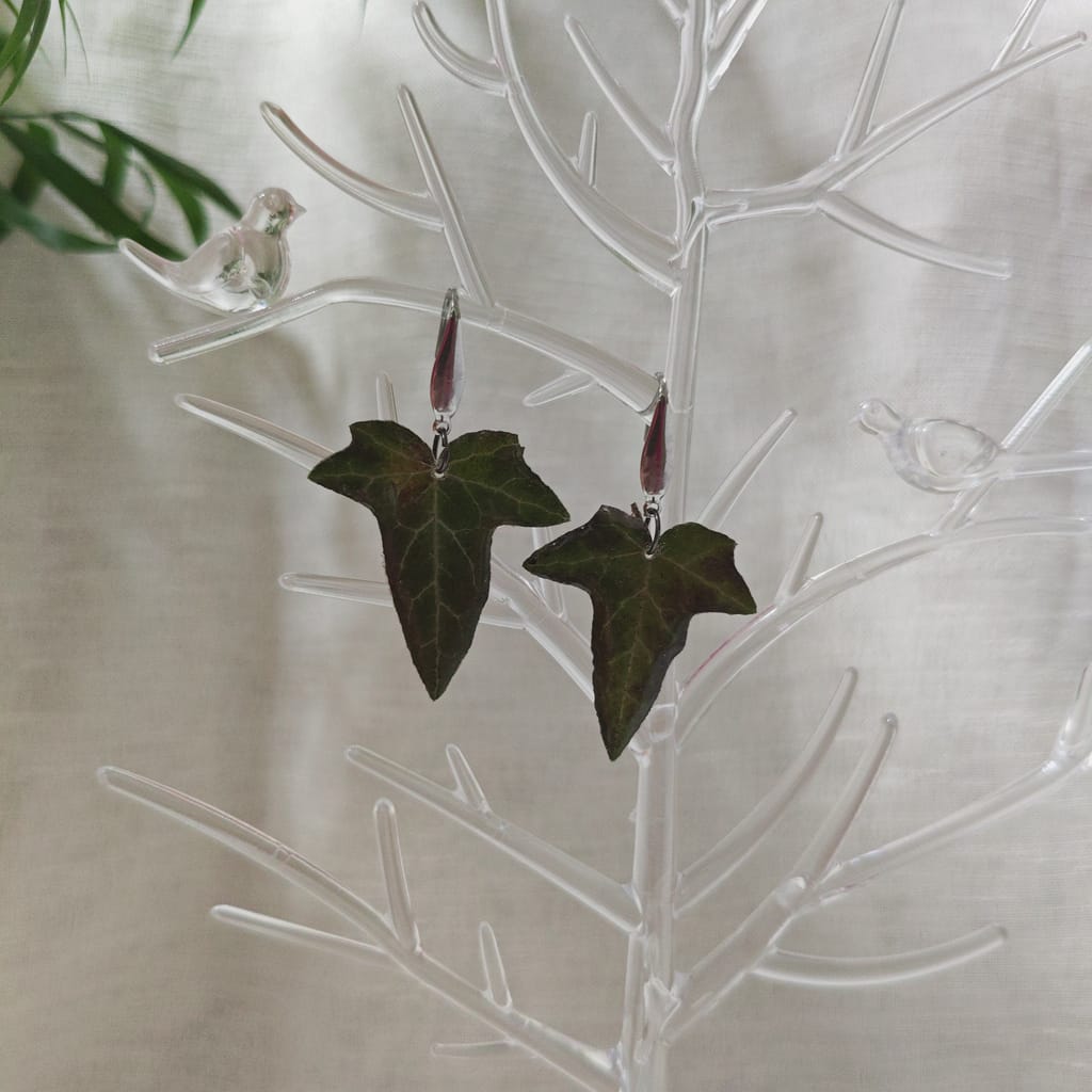 Cercei Iedera - Image 1